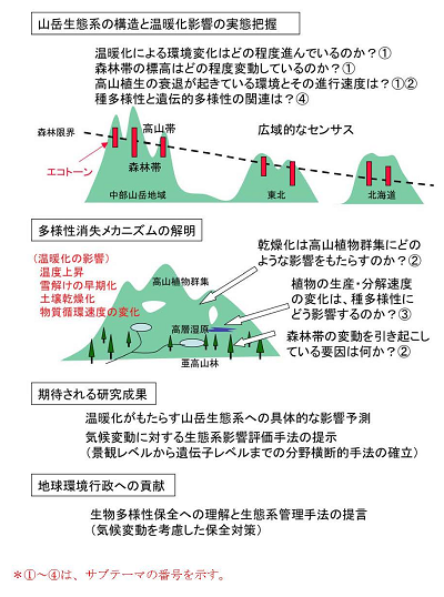 研究のイメージ