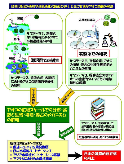 研究のイメージ