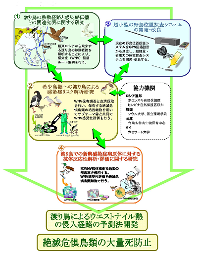 研究のイメージ