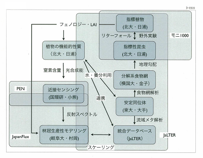 研究のイメージ