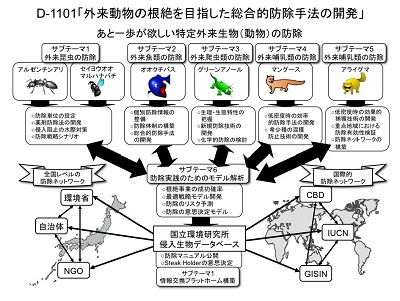 研究のイメージ