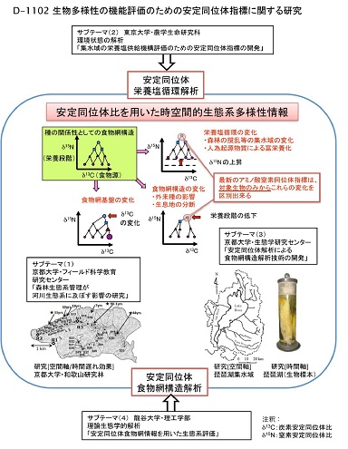 研究のイメージ