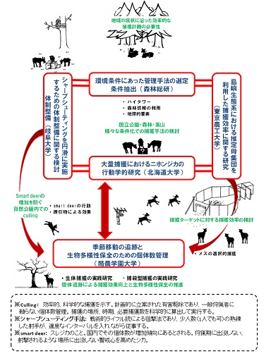 研究のイメージ