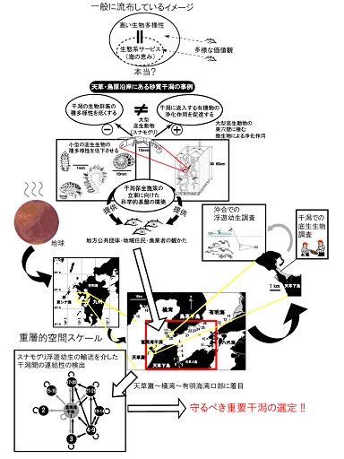 研究のイメージ