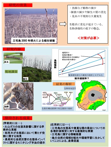 研究のイメージ