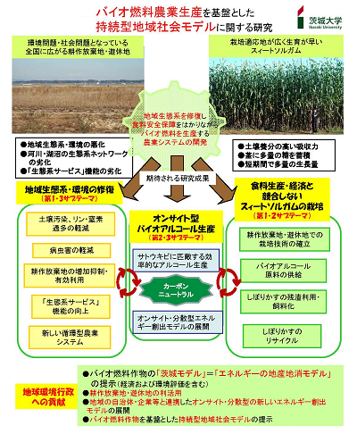 研究のイメージ