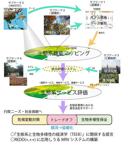 研究のイメージ