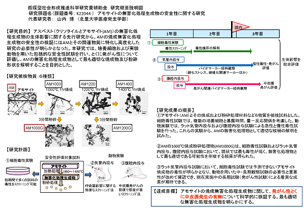 研究イメージ図