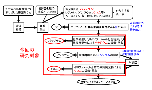 研究イメージ図