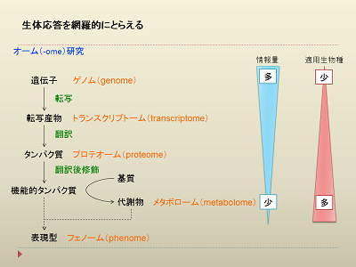 研究のイメージ