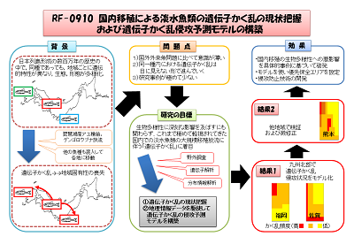 研究のイメージ