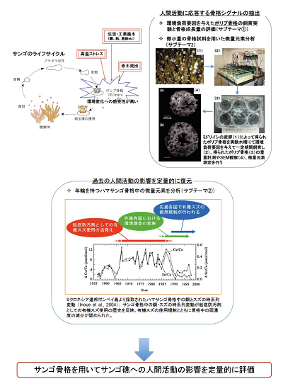 研究のイメージ