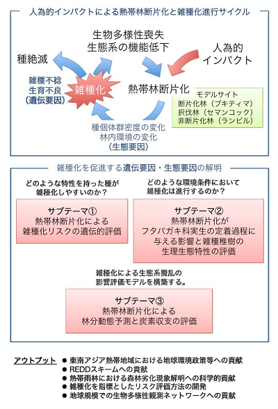 研究のイメージ