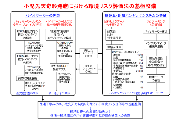 成果イメージ図