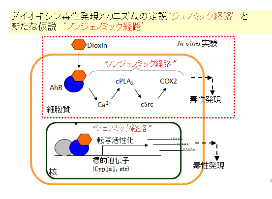 成果イメージ図