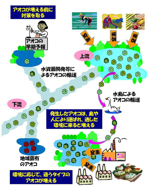 成果イメージ図