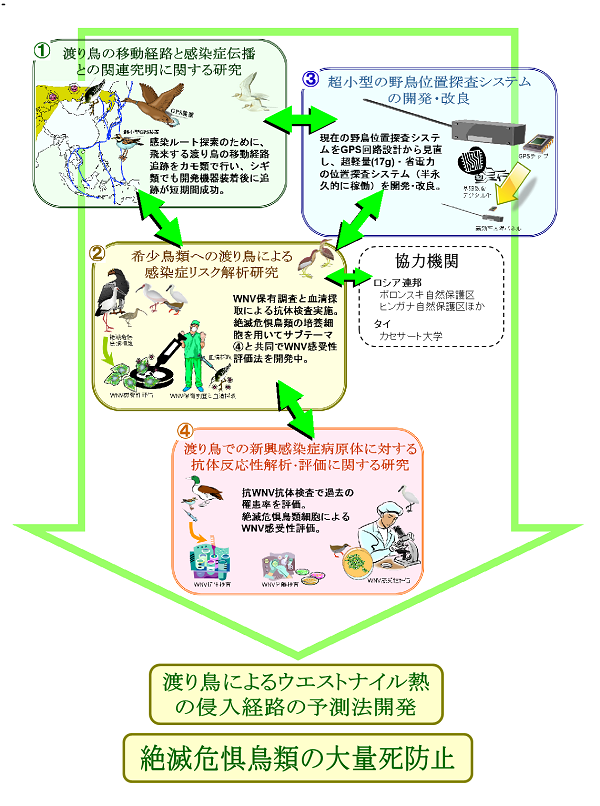 成果イメージ図