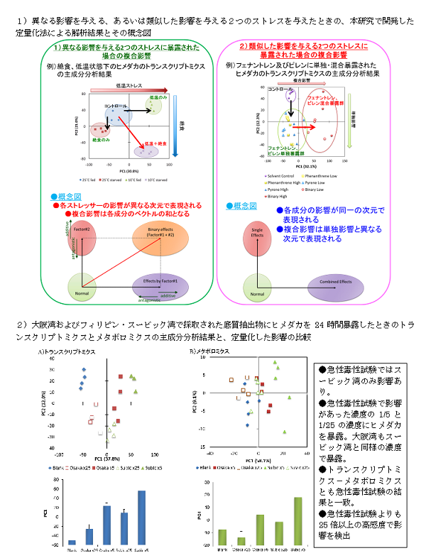 成果イメージ図