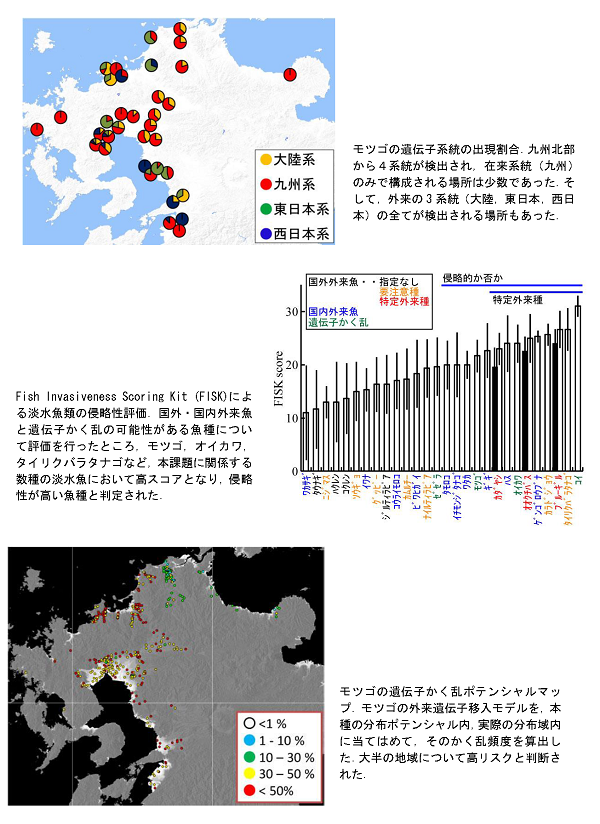 成果イメージ図