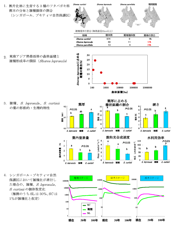 成果イメージ図