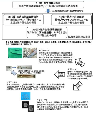 研究のイメージ