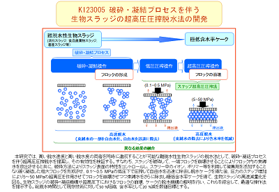 研究のイメージ