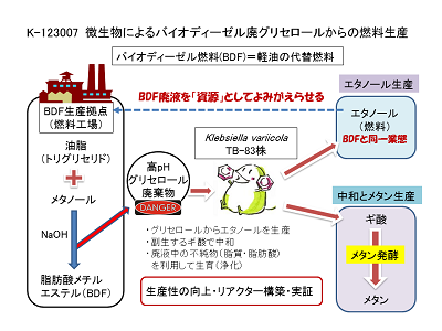 研究のイメージ