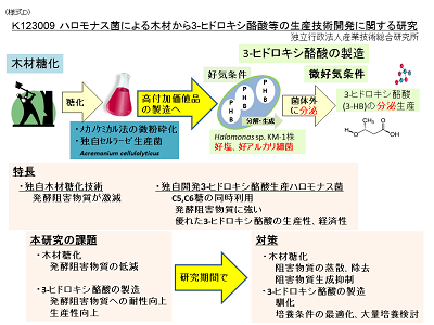 研究のイメージ