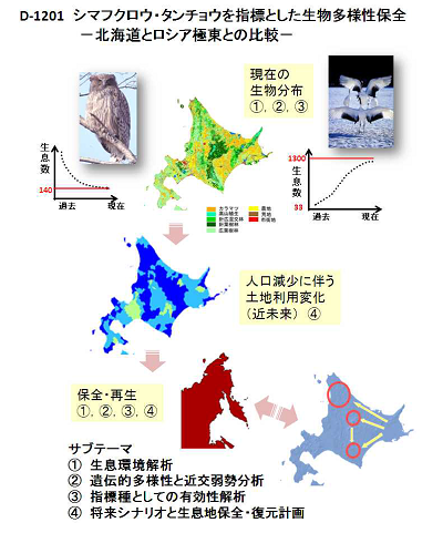 研究のイメージ