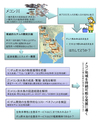 研究のイメージ