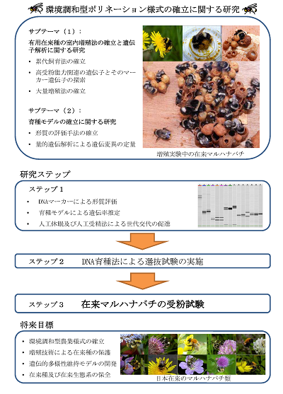 研究のイメージ