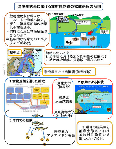 研究のイメージ