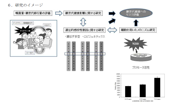 研究のイメージ