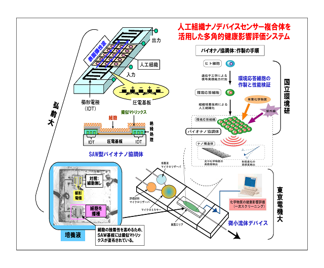 研究のイメージ