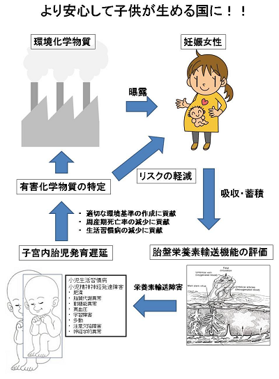 研究のイメージ