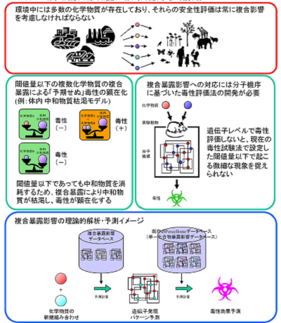 研究のイメージ