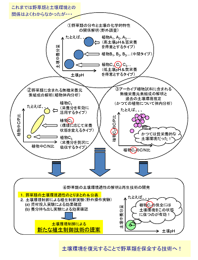 研究のイメージ