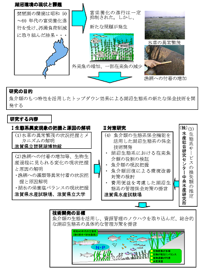 研究のイメージ