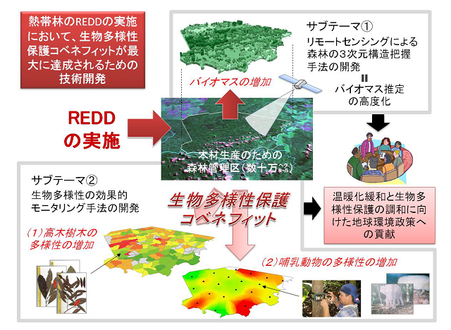 研究のイメージ