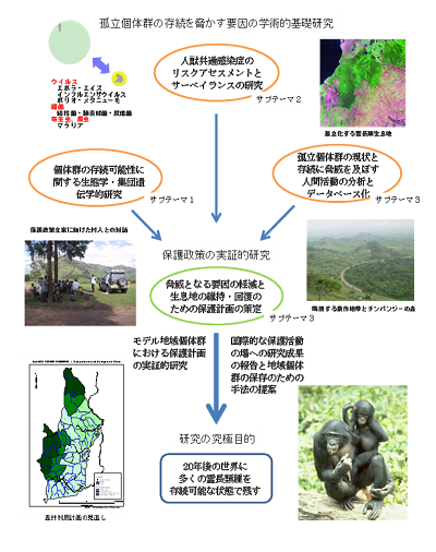 研究のイメージ