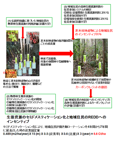 研究のイメージ