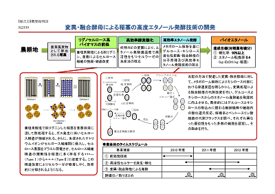 研究のイメージ