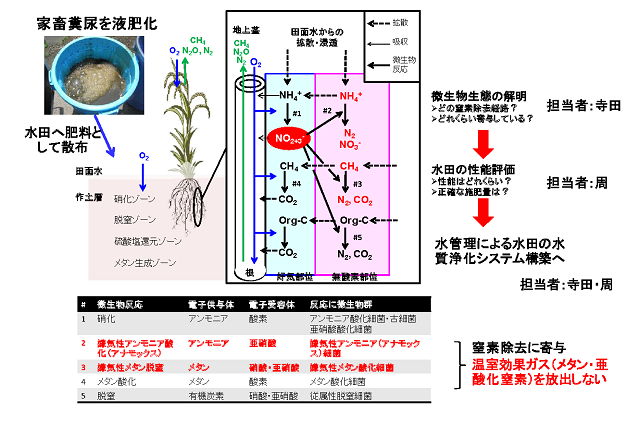 研究のイメージ