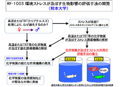 研究のイメージ