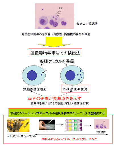 研究のイメージ