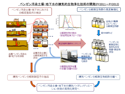 研究のイメージ