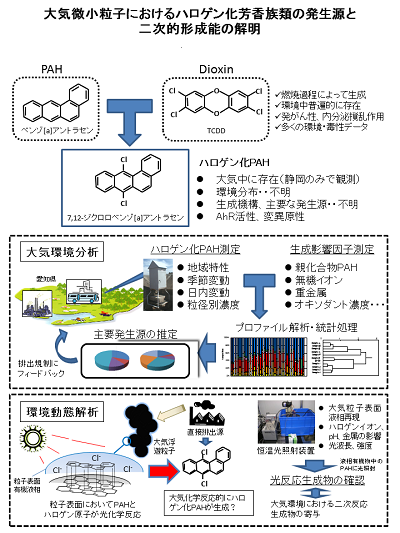 研究のイメージ