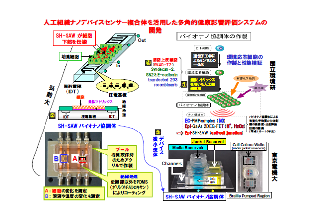 成果イメージ図