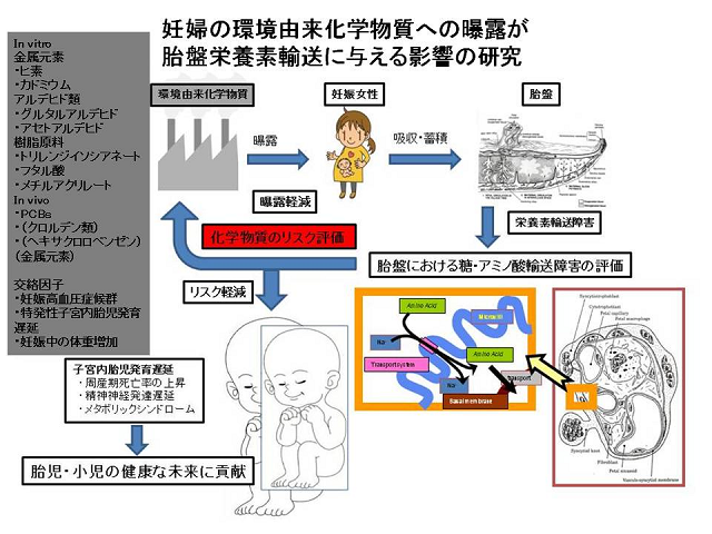 成果イメージ図