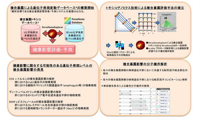 成果イメージ図